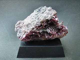 erytr�n